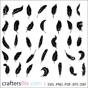 35 Feather Vector Designs for Creative Projects: Elegant Feather Vector ...