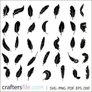 feather vector​