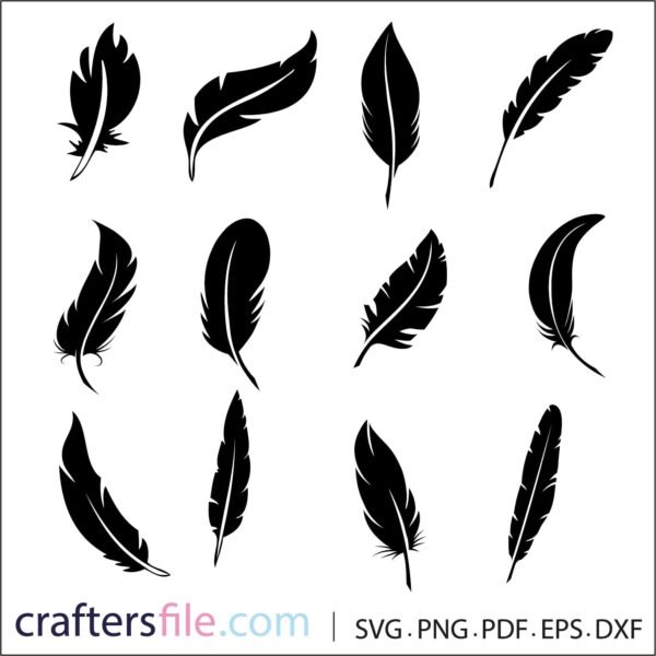 feather vector​