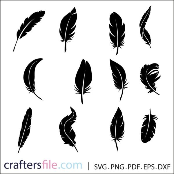 feather vector​