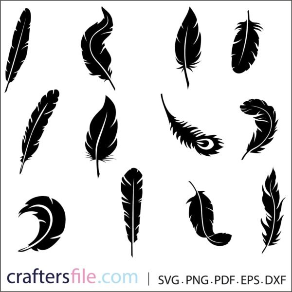 feather vector​