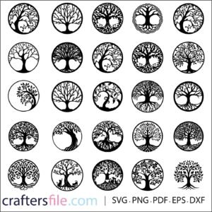 tree of life vector