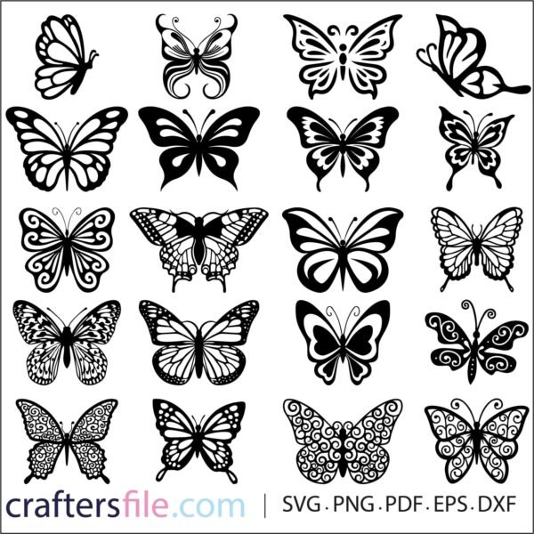 butterfly vector