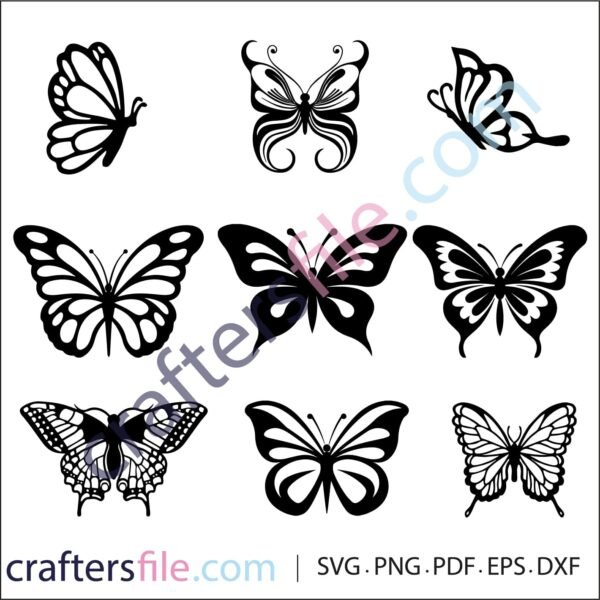butterfly vector