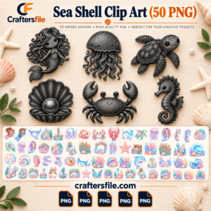 50 PNG sea shell clip art designs for creative projects